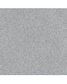 Effet Granit - Enduit de rénovation - Gris clair
