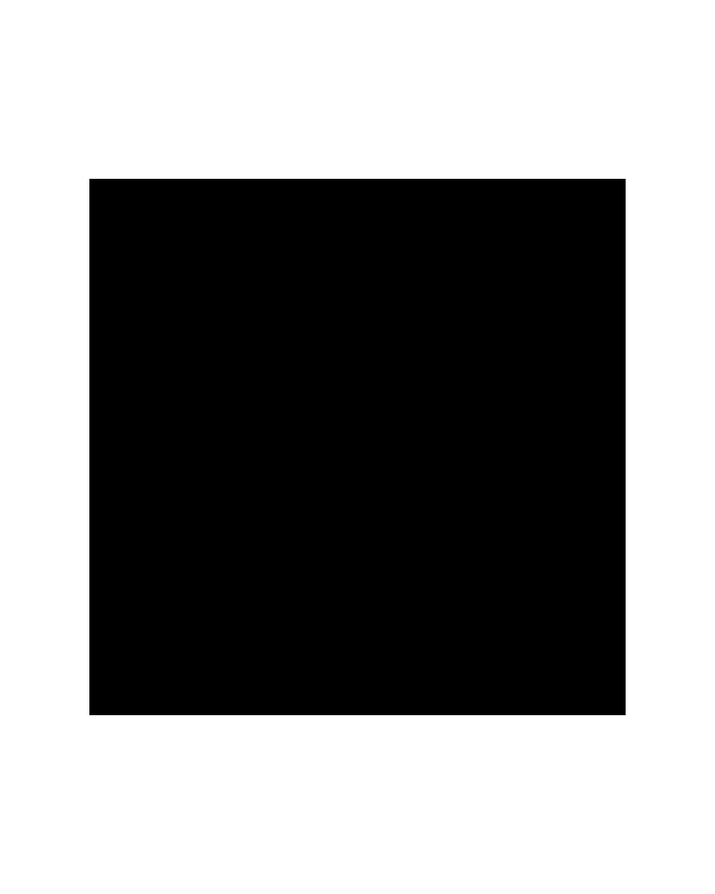 Peinture pochoir - Lisse 