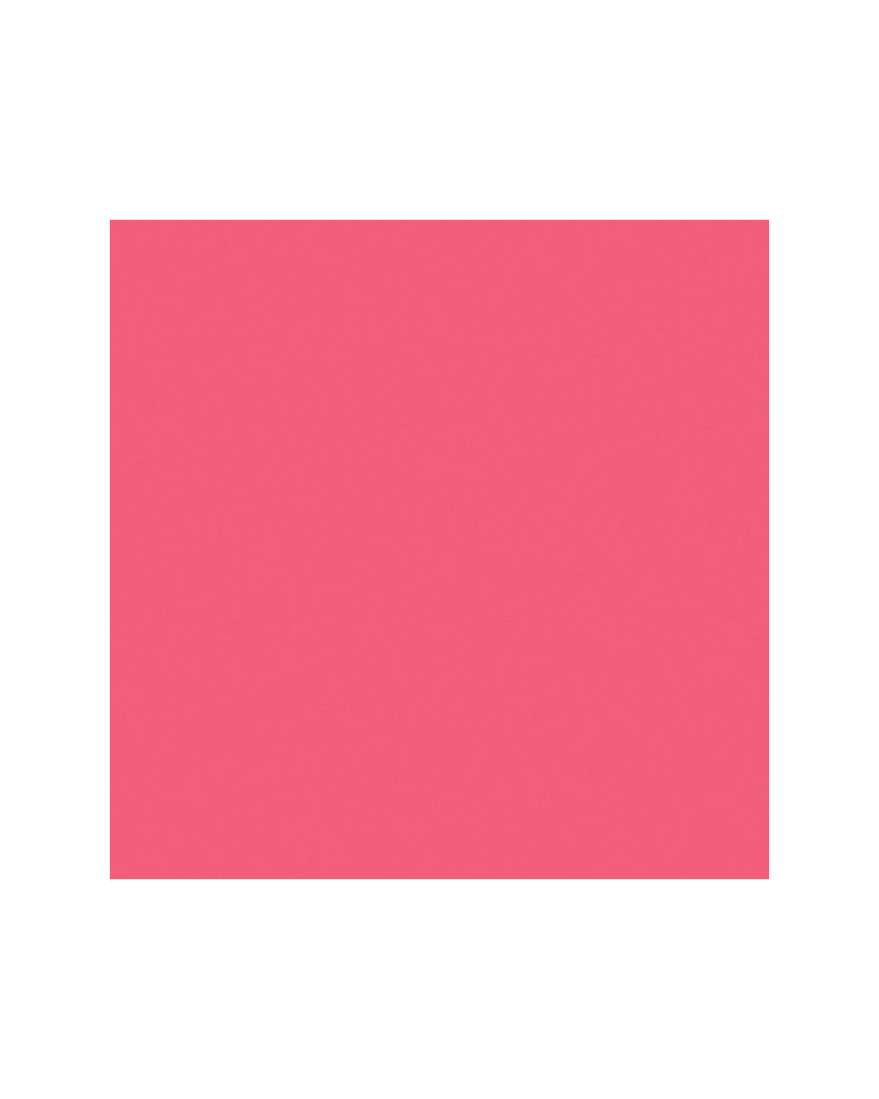 Peinture pochoir - Lisse 