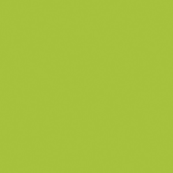 Peinture pochoir - Lisse - Vert Anis