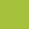 Peinture pochoir - Lisse - Vert Anis