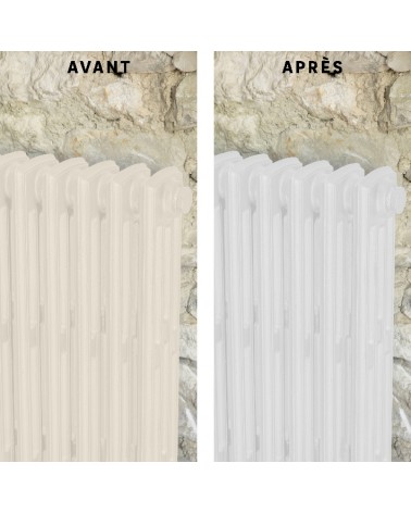 Peinture Relook Radiateurs aérosol - Satin