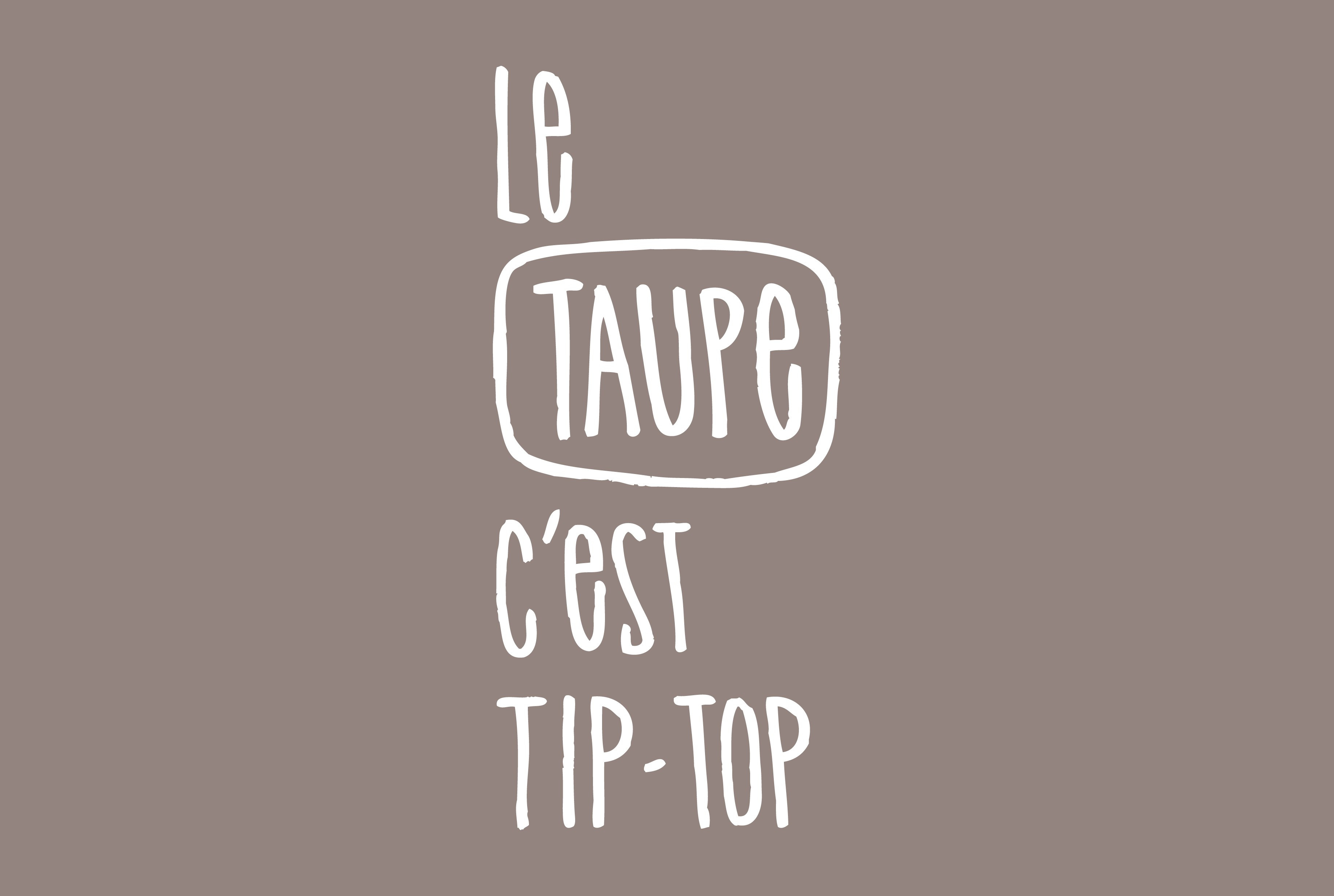 Relook Tout finition - Aspect satin - Taupe