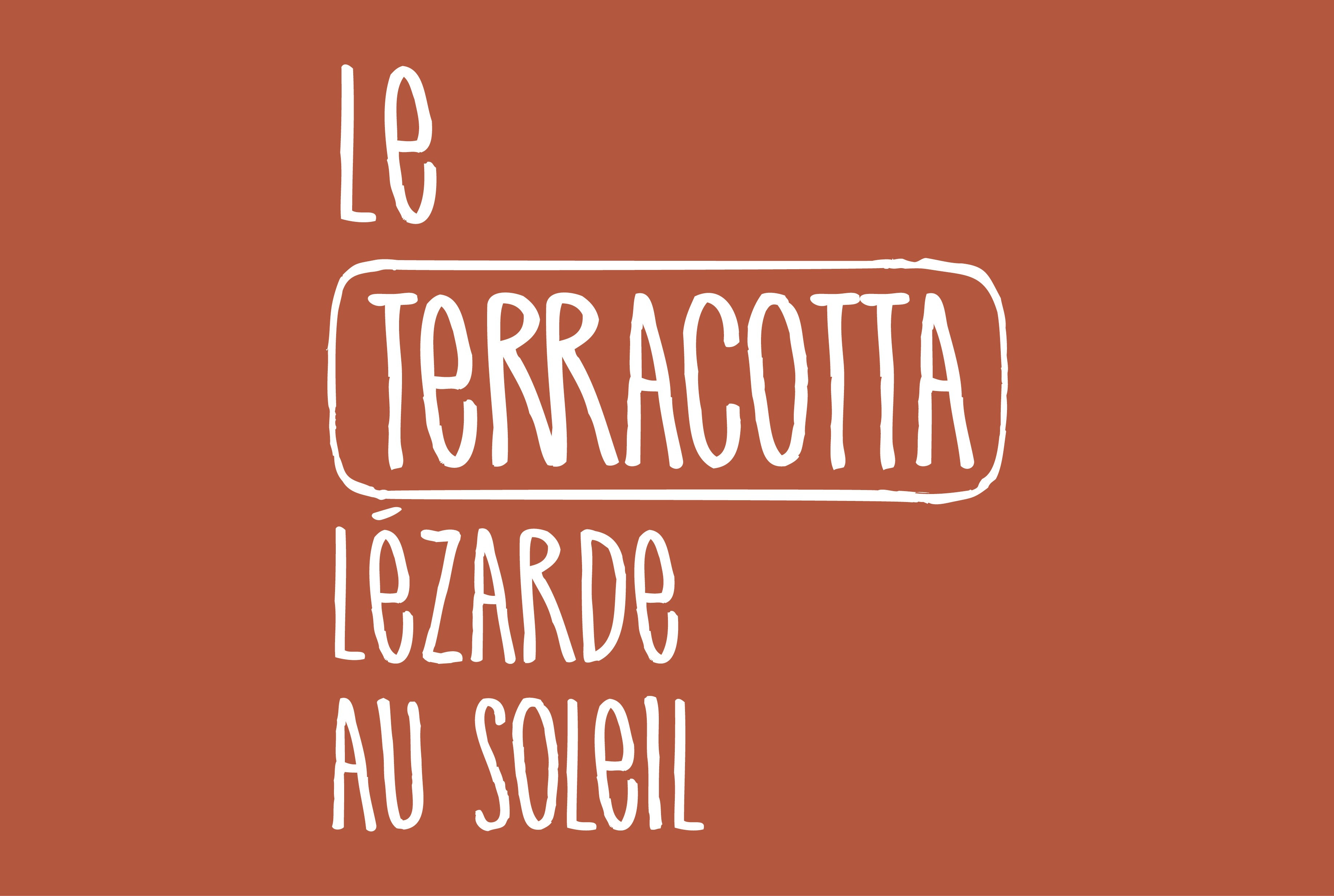 Relook Tout finition - Aspect satin - Terracotta