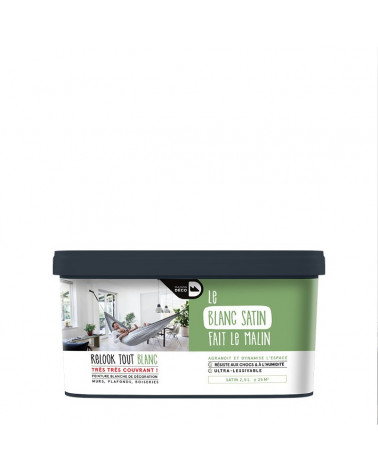 Peinture Relook Tout Blanc - Aspect Satin