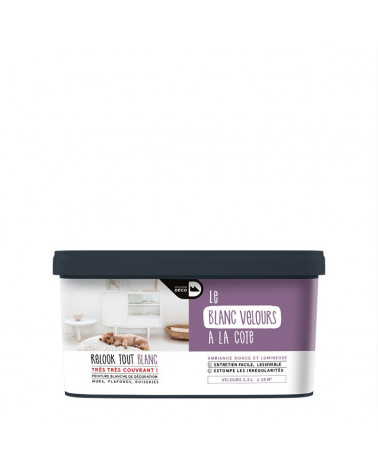 Peinture Relook Tout Blanc - Aspect Velours
