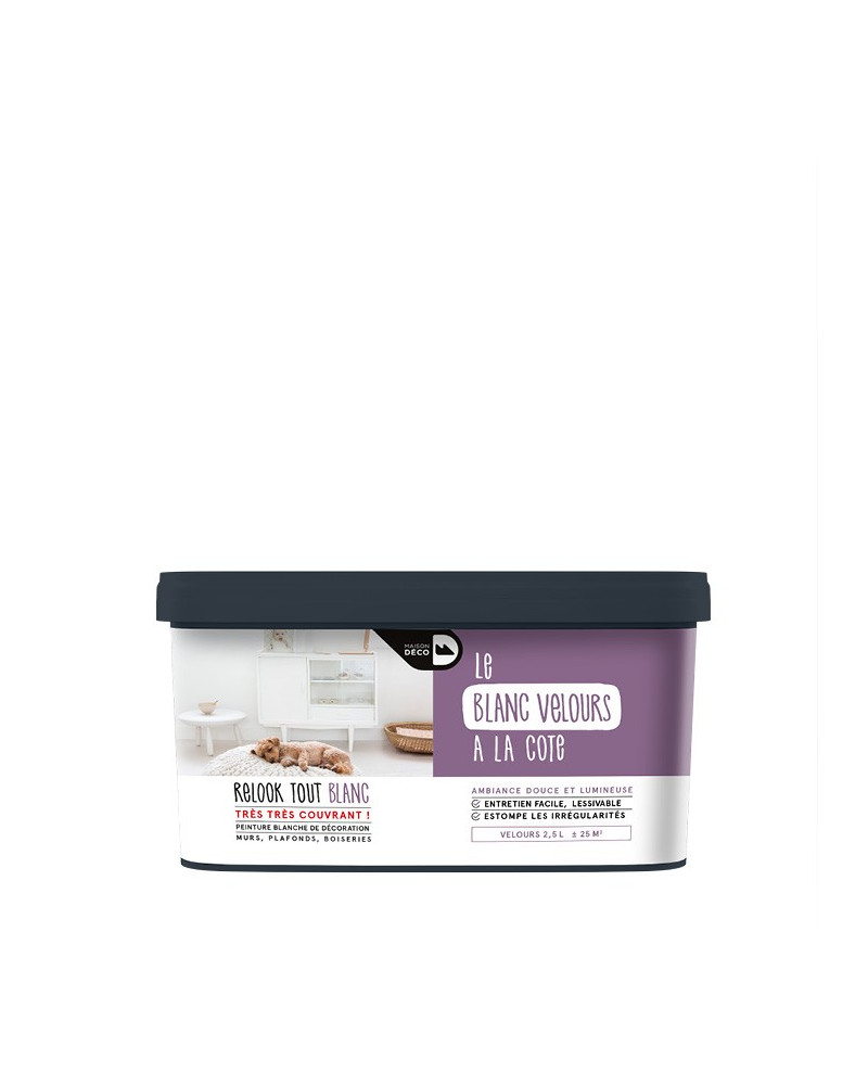 Peinture Relook Tout Blanc - Aspect Velours