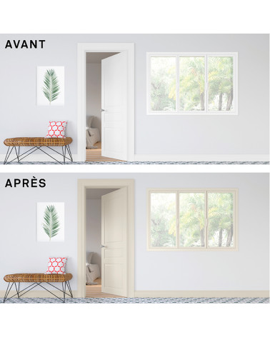 Peinture Relook Portes et Fenêtres - Satin