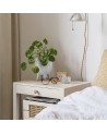 Peinture Mat poudrés - Aspect mat - Coton brut