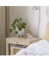 Peinture Mat poudrés - Aspect mat - Cannage