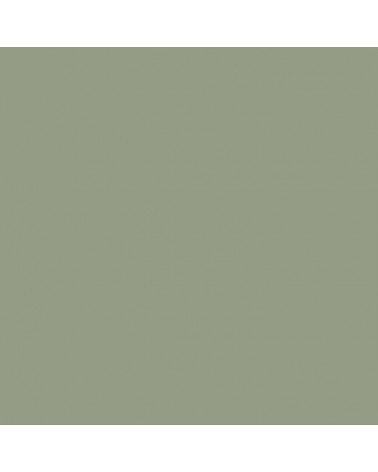 Peinture Mat poudrés - Aspect mat