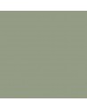 Peinture Mat poudrés - Aspect mat - Argile verte