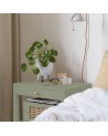 Peinture Mat poudrés - Aspect mat - Argile verte