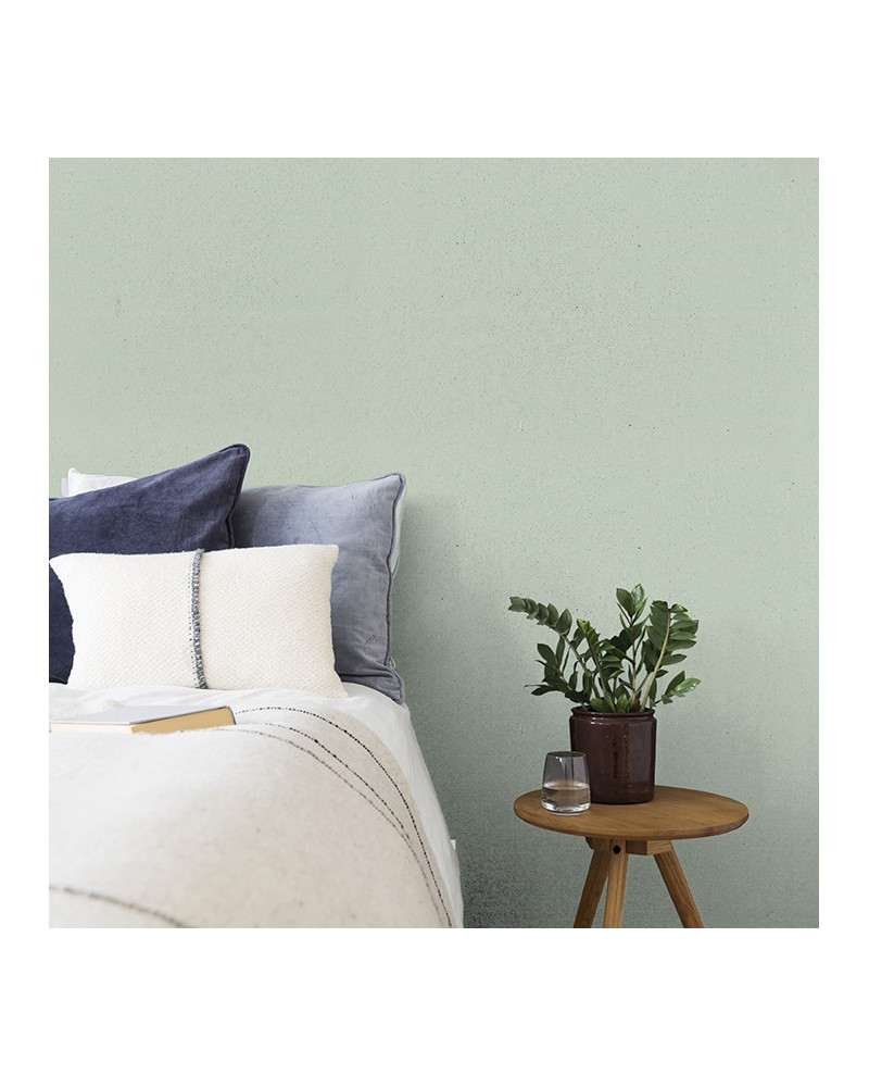 La Chaux Amandier | Peinture minérale effet mat | Maison Déco