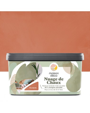 Peinture Nuage de Chaux - Aspect mat