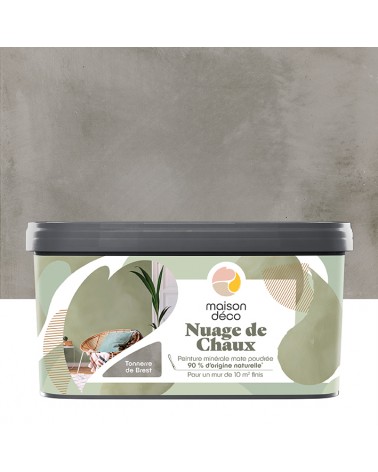 Peinture Nuage de Chaux - Aspect mat