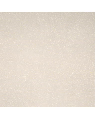 Peinture Moonlight - Effet Pailletée