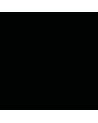 Peinture ardoise - mate - Noir
