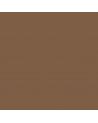 Stylos peinture - acrylique  - Marron